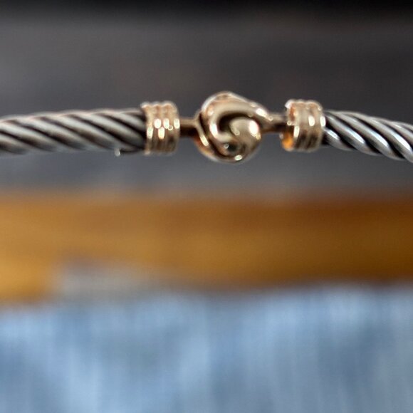 David Yuman Sterling Silver Cable Choker with 14k Yellow Gold Clasp - Picture 6 of 7